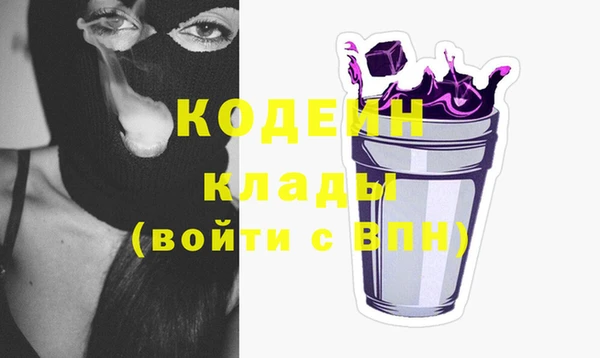 прущие грибы Краснотурьинск