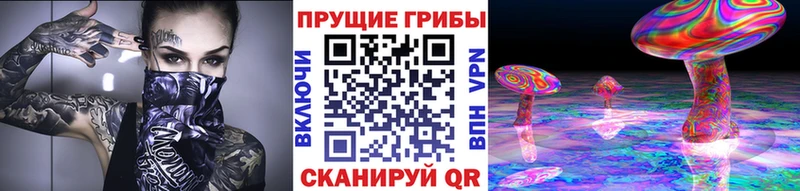 Псилоцибиновые грибы Psilocybine cubensis  Елец 